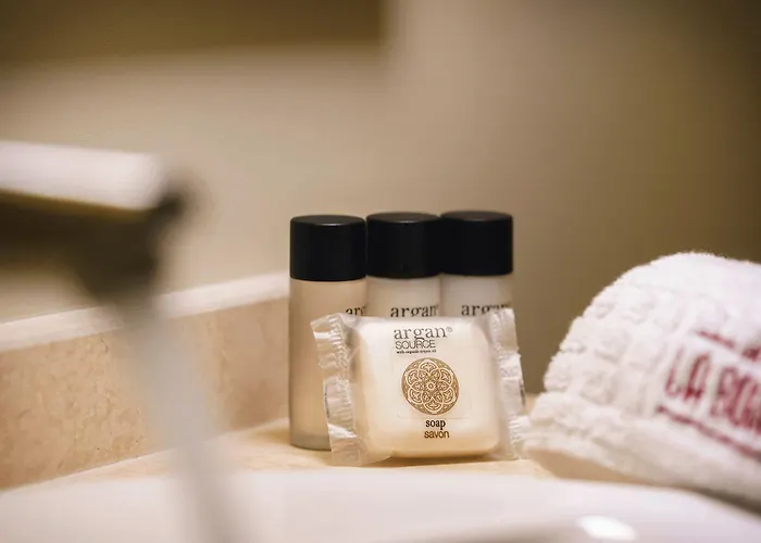 Hotel La Boheme Boutique Casa Soare Bucarest